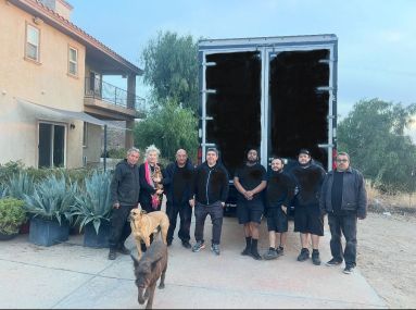 International Move in San Bernardino, CA (Boba Fett) (2)